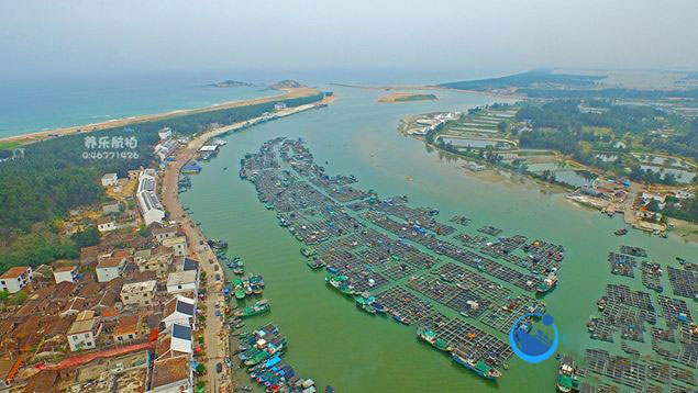 1524321736504249.jpg 1.jpg