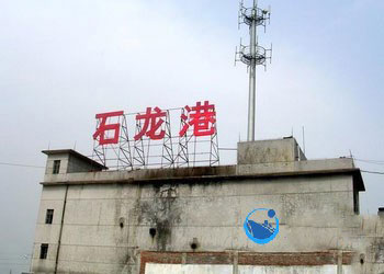 青島到龍溪集裝箱內(nèi)貿(mào)海運物流代理服務(wù)